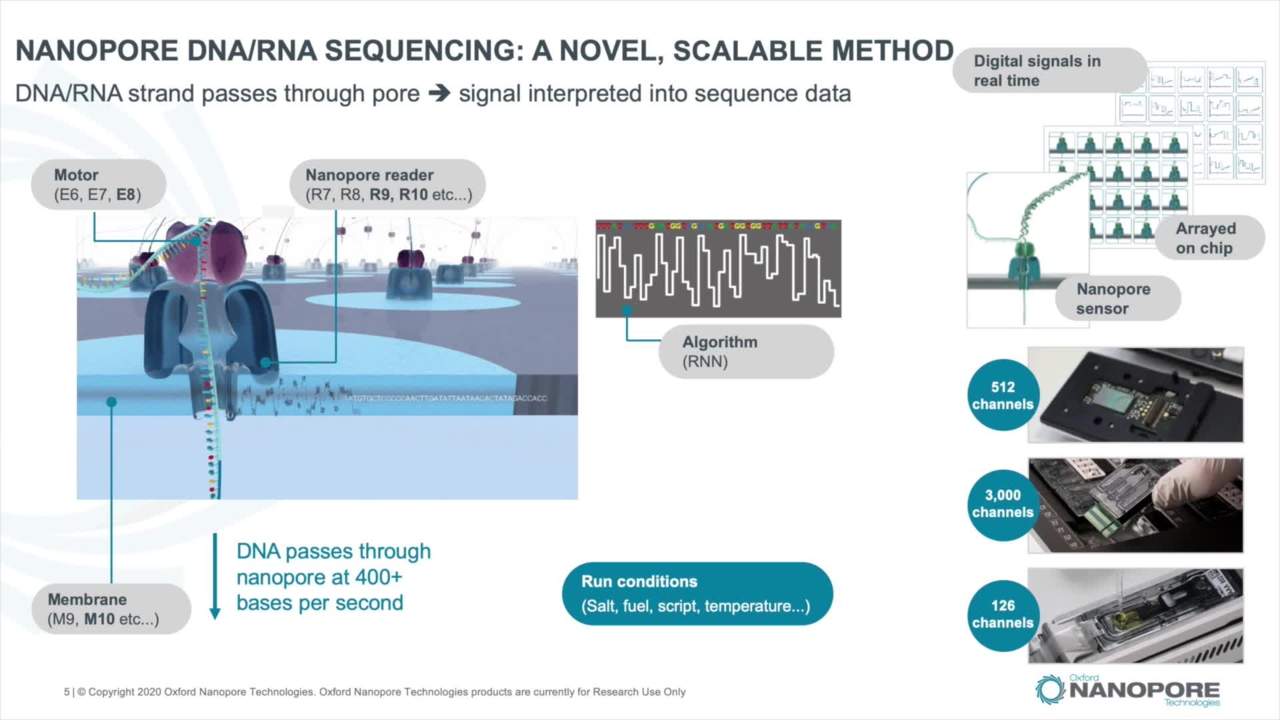Introduction to nanopore sequencing